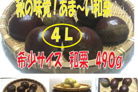 【最短出荷】和栗希少4Lサイズ 500ｇ