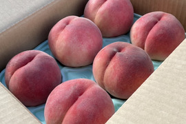 ★爽やかな夏ギフトにぴったり♪ 山形県の農園から直送まどか ２kg 6玉～９玉入