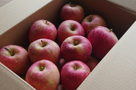 【大特価！ 🍎訳あり・サンふじ】  7㎏ (サイズミックス 28～32個)