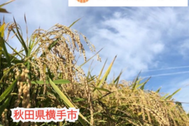 【感謝セール100袋限定】【新米】令和7年産 あきたこまち 白米10kg (5kgｘ2袋) 農家直送 秋田県産 特別栽培米