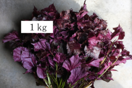 【有機JAS赤しそ1kg】京都大原産🌿25年度食べチョクアワード受賞農家❣️貴重な原種の有機ちりめん赤しそ1kg！梅干し！ジュース！たっぷり１kg（枝付重量）しそジュースレシピ付！2kgまで同梱可！
