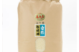 【 白米・５kg 】米の旨味たっぷり 自然栽培米 つや姫