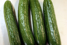 JAS認証 有機栽培　ミニきゅうり(1kg)