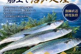 さごしフィレ 合計1kg【小分け 切り身 海産 魚 お弁当 焼き魚 冷凍 惣菜 焼くだけ 訳あり サイズ不揃い】