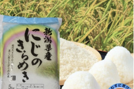 新米　令和7年産　お米　米　新潟県産　にじのきらめき　無洗米　5キロ　5kg(nijinokirameki-mu)