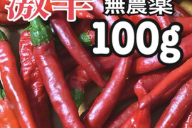 岡山県産の新鮮赤唐辛子100g