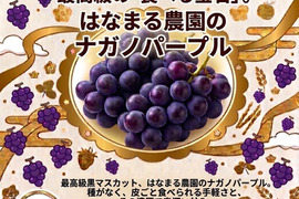 はなまる農園のナガノパープル1キロ