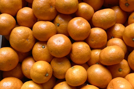 【越冬完熟・濃厚・絶品】『プレミアム小玉興津早生みかん（S玉以下）』　5kg