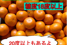 【糖度18度以上】濃厚・絶品スペシャルなプレミアム小玉早生ミカン　３kg