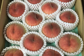 甘くてジューシー！飛騨桃源郷の桃(5kg)
　　自家用  白鳳