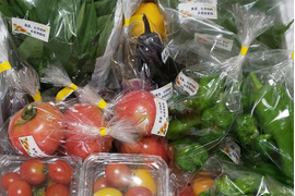 【夜市限定】旬のおまかせ野菜セット7~10品【農薬、化学肥料不使用】