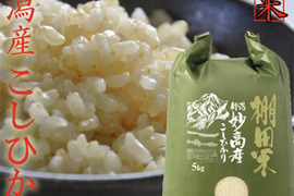 新米　令和7年産　新潟県産　棚田米　コシヒカリ  5kg  玄米　(53)