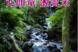 新米予約 九頭竜 源流米 玄米 30kg コシヒカリ 単一原料米