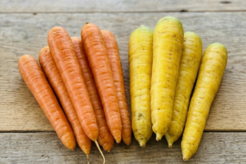 ✨食卓がパッと華やぐ！ビタミン2色ニンジンセット約2kg（オレンジ×黄色）｜根のみ｜農薬・化成肥料不使用🥕