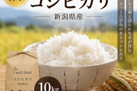 新潟県産コシヒカリ《白米10k》