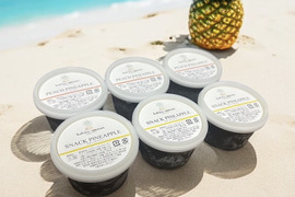 【ピーチ•スナックパイン果汁50%使用❣️】石垣島のパイン農家が作る完熟パイナップルのスッキリ爽やかジェラート🍧6個セット！！