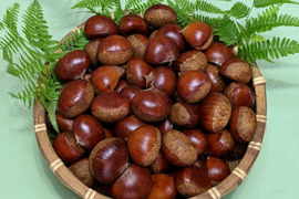 茨城県笠間市 岩間のブランド栗 4L 渋皮煮 3 キロ 茨城県笠間市 岩間の