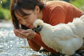 【食べ比べ】衝撃のおいしさ　希少な烏骨鶏＆濃厚黒どりネラ （計20個）16個＋破卵保証4個