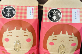 令和7年度産米《一等米》【食べ比べ】安心の低農薬栽培【ななつぼし】【ゆめぴりか】美味しさに定評有り！各２kg（玄米）