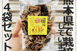 熊本県人吉産🐻4袋 x S20g 乾燥きくらげ たっぷり ポスト投函【20g×4袋】(熊本県産・人吉)
