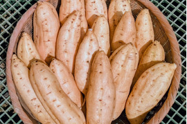 大分産　栗こがね(5Kg)