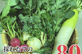採れたての新鮮野菜を80サイズでお届けします。