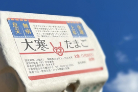 大寒卵(白)×36個✨‼️年に1度の縁起物‼️✨