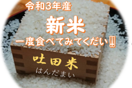 令和3年産新米 100%吐田米(はんだまい)4.5㎏