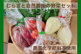 冷蔵便【農薬化学肥料不使用】むらざと自然農園　野菜セット(7品目+おまけ)岐阜県加茂郡白川町黒川　サイズ80の箱に旬のお野菜をお届けします！