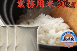 新米　令和7年産　新潟県産　業務用米  無洗米  30キロ お米　訳あり　(gyoumuyou-30kg)