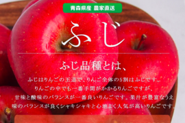 定番の味　THEりんご　家庭用サンふじ（10キロ　26〜40個）