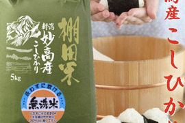 新米　令和7年産　新潟県産　棚田米　コシヒカリ  5kg  無洗米(202)