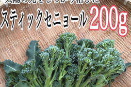 再販の茎ブロッコリーを200gお届け
