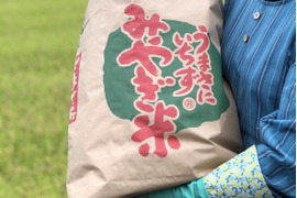 ひとめぼれ 令和7年宮城県産　玄米30kg 低農薬　母の日ギフト