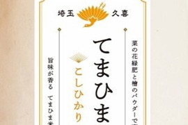 旨味が香る『てまひま米』こしひかり 5kg（5㎏×1）令和7年産