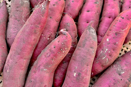 さつまいも 規格外の通販｜食べチョク｜産地直送(産直)お