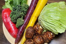 テーマは『優しさ』旬の野菜セット(野菜7種類以上)農薬・化学肥料不使用