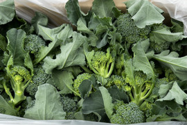 スティックセニョール　3kg