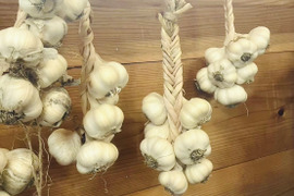 【農薬不使用】京都美山産 にんにく　6個(約450~500g)
