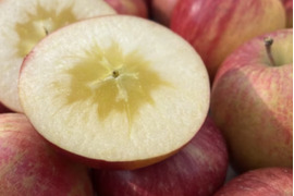 《予約商品》1月中旬～ 訳あり 極小玉 サンふじ 5キロ箱 23～25玉