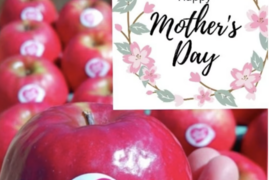 【母の日ギフト】ピンクレディー™ 3kg箱｜ありがとうを贈る大人のりんご（カード付）