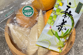 【期間限定】爽やかな初夏の香り!静岡の山の幸満喫セット (新茶、筍水煮、スルガ甘夏)