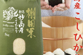 新米　令和7年産　新潟県産　棚田米　コシヒカリ  5kg  白米 (3)