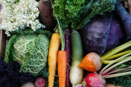 旅する畑から届く、季節の彩り野菜セット（7-8種類）