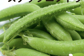朝採れ 鹿児島県指宿産 スナップエンドウ 1kg（鹿児島県指宿市産）