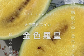 黄色いスイカ　圧倒的糖度を誇る『金色羅皇』　L玉　6-7kg