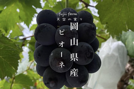 天空の実り！！岡山県産ニューピオーネ！4房（箱込み2k箱）　オリパケ発送！※クール便※
