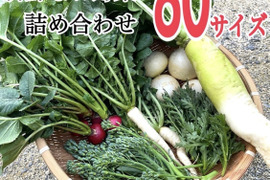 農薬不使用の野菜詰め合わせを80サイズでお届け