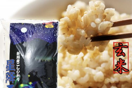 新米　令和7年産　新潟県産　コシヒカリ  5キロ  玄米  　(54)