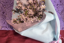 【桜の花束】あと少し！ボリュームたっぷりな桜をご自宅に飾ってみませんか？